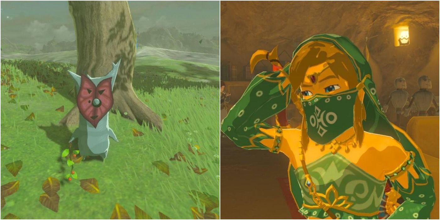 zelda-breath-of-the-wild-series-misconceptions-2