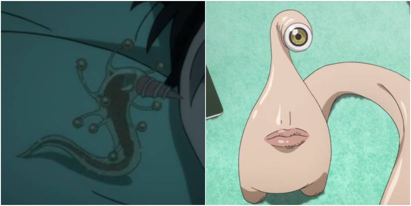 Migi Parasyte -the maxim-