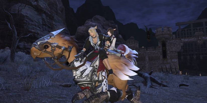 Miqo'te riding large chocobo. 