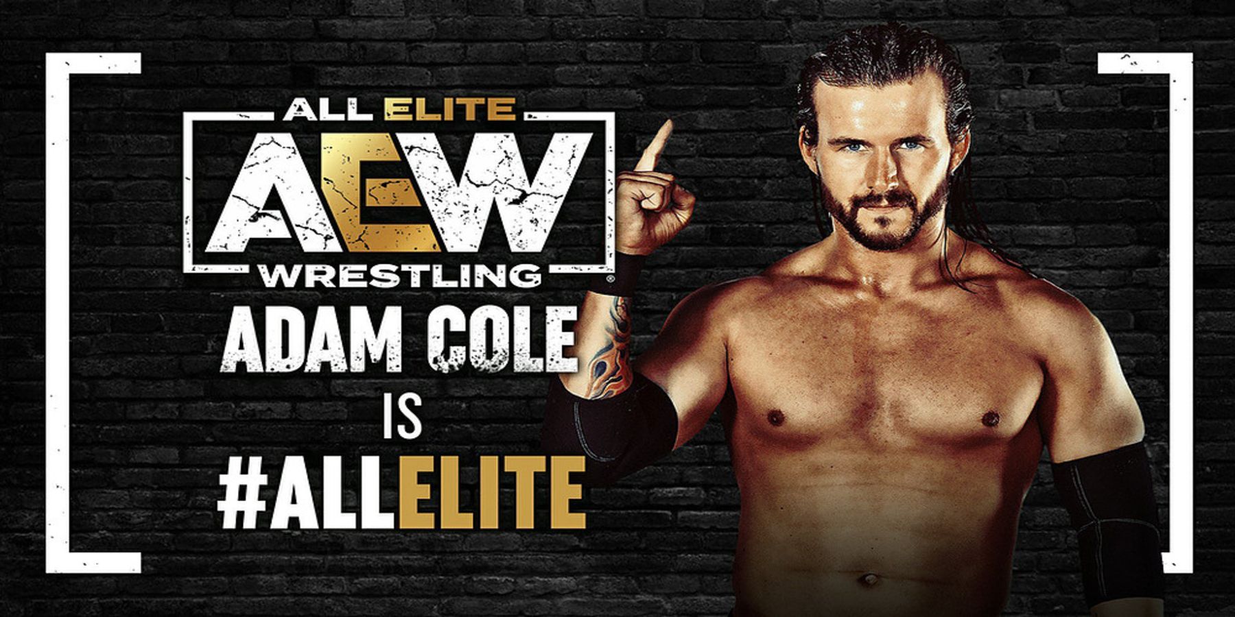 AEW Adam Cole All Elite