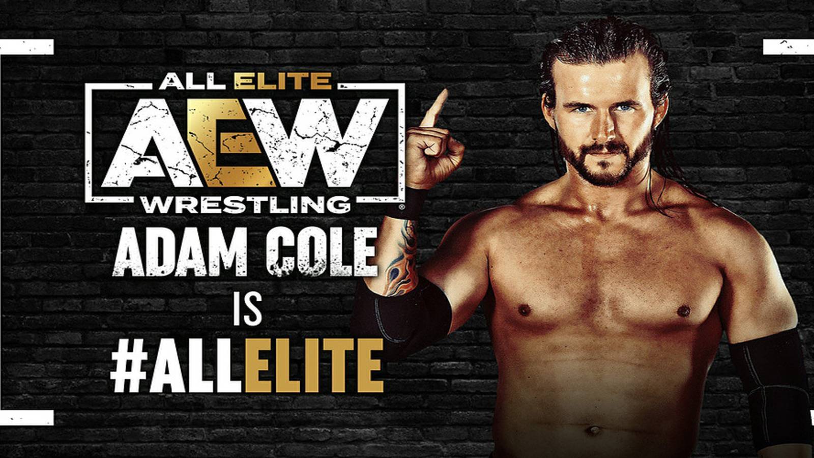 AEW Adam Cole All Elite