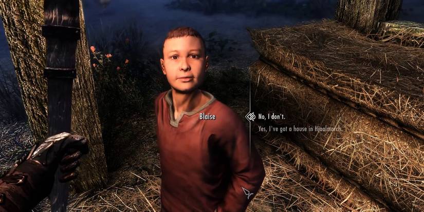 Adoptable child blaise in solitude at night