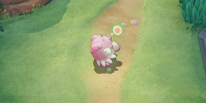 Blissey roaming around