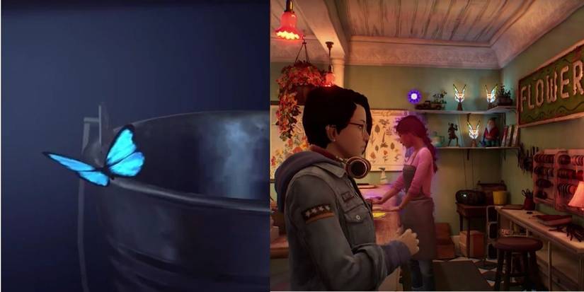 Left: blue butterfly; right: alex looking at blue butterfly lights