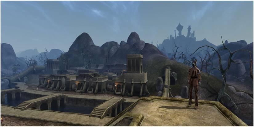 Dark-Elf-in-Balmora-Morrowind