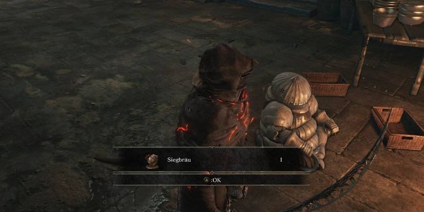 Dark Souls 3 player and siegward in front of fire