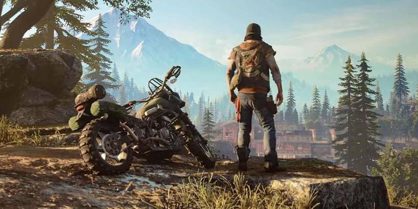 Deacon Looking Across the Landscape In Days Gone