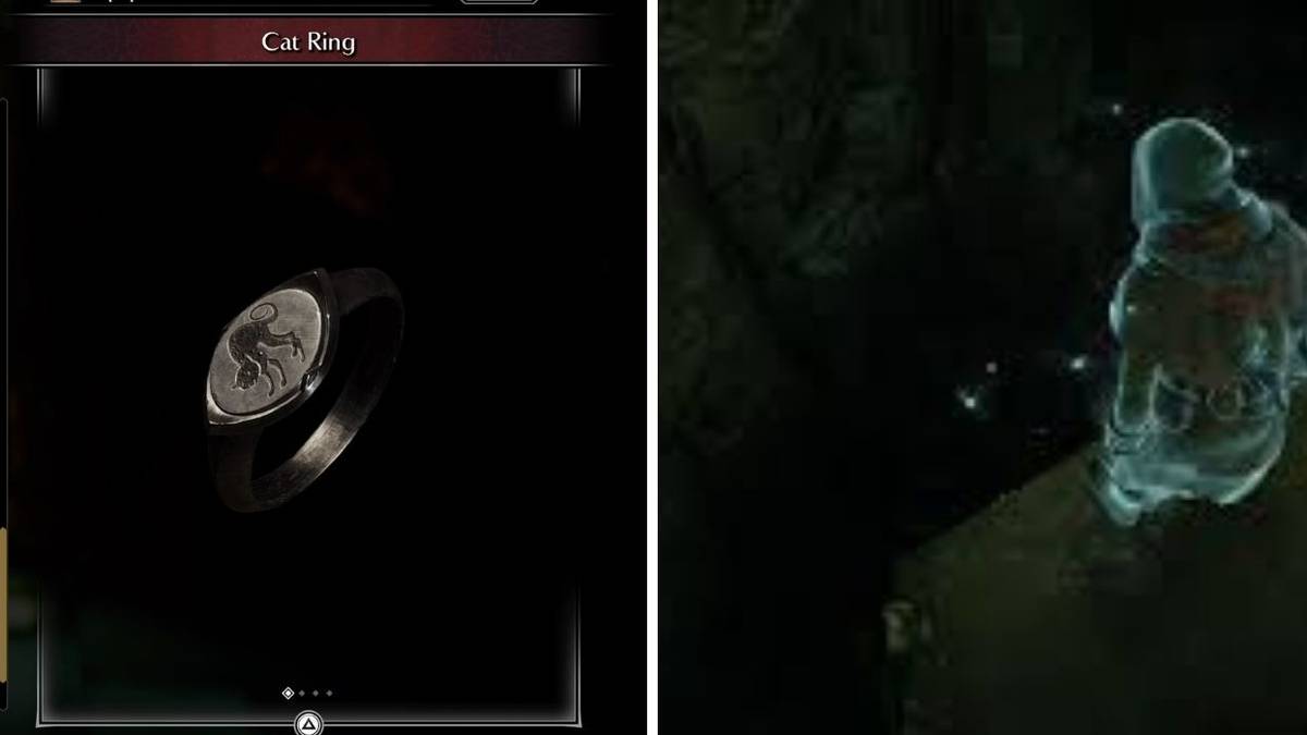 Demon's Souls_Cat Ring Glitch