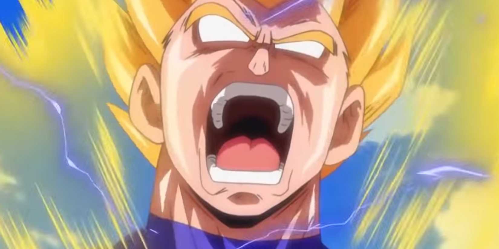 Dragon Ball Vegeta screaming at Beerus