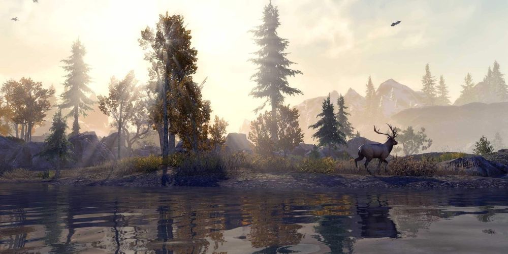 ESO Changes Since Launch Next Gen Upgrade Graphics