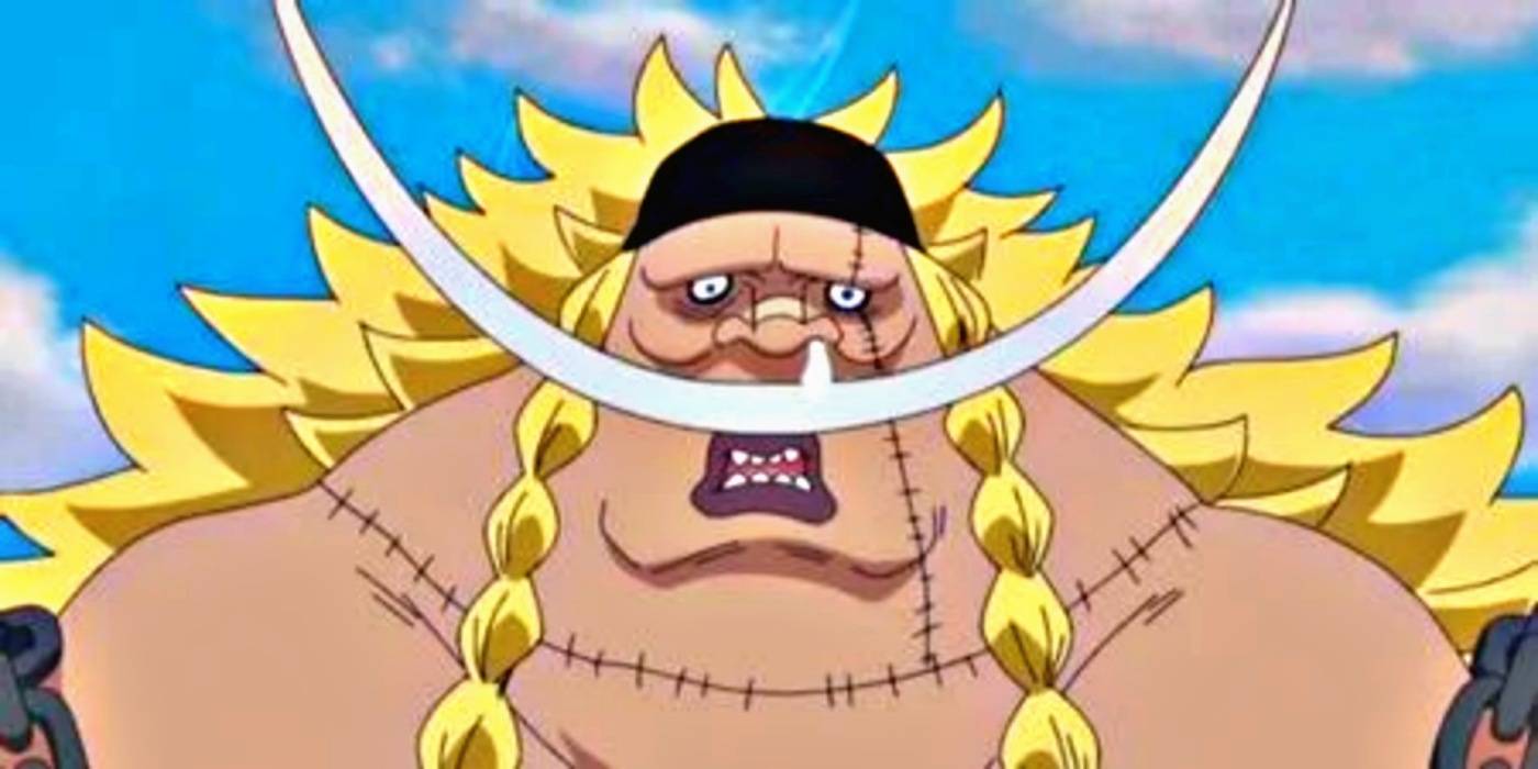One Piece Every Member Of The Shichibukai Ranked By Strength