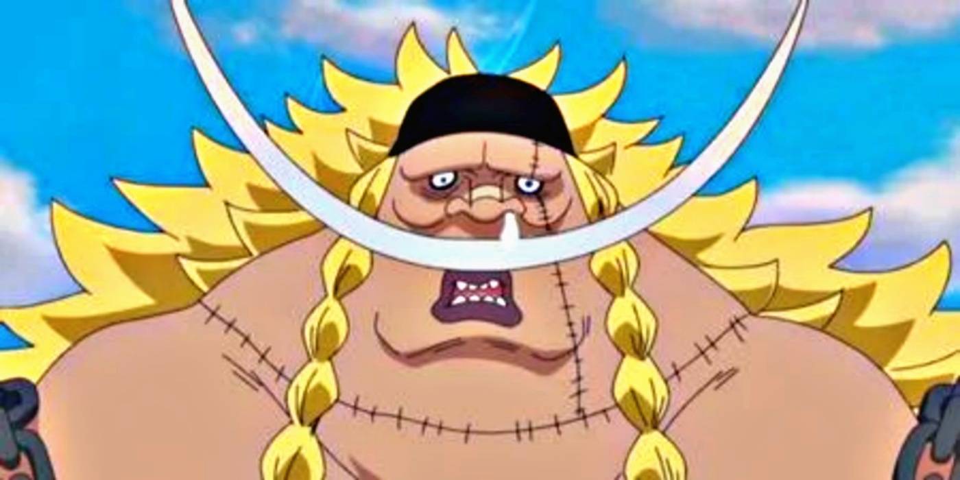 One Piece Top 10 Strongest Non Devil Fruit Users Ranked By Strength One Piece Top 10 Strongest Non Devil Fruit Users Ranked By Strength