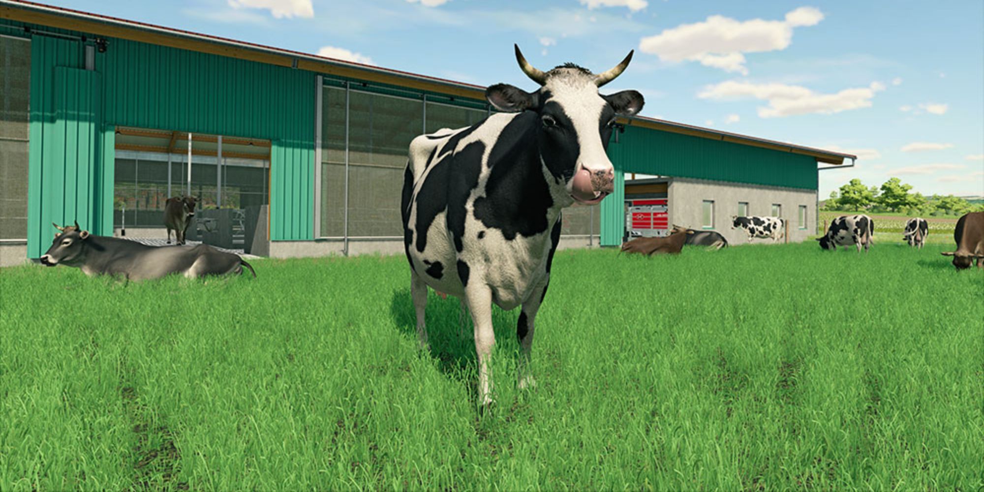 Close-up of a cow with other cows in the background of the field in Farming Simulator 22
