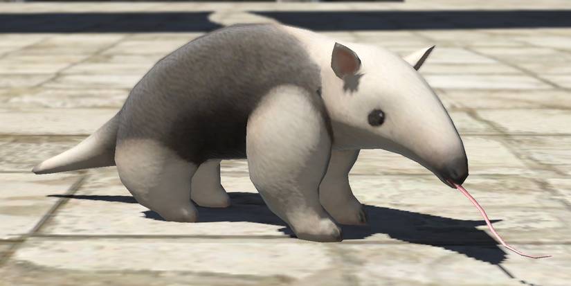 Final Fantasy 14 An Anteater Minion screenshot from Reddit u Bloodclaw_Talon