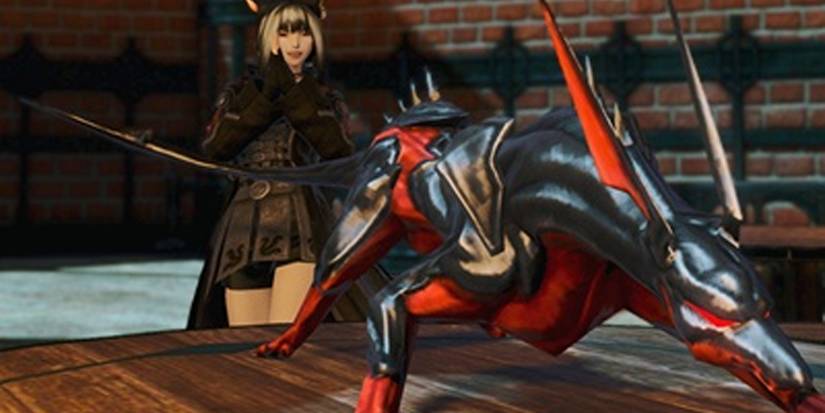Final Fantasy 14 a hellpup minion with a player