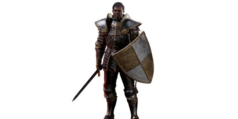 Diablo 2 Resurrected Paladin With A Kite Spirit Shield