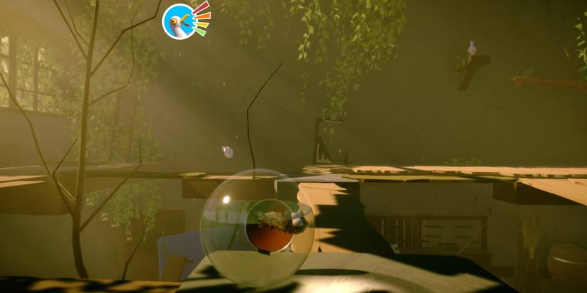 I Am Fish Pufferfish Seagul