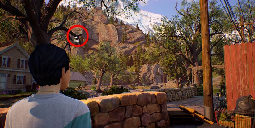 Life is Strange True Colors alex chen birdspotting trophy achievement chapter 2