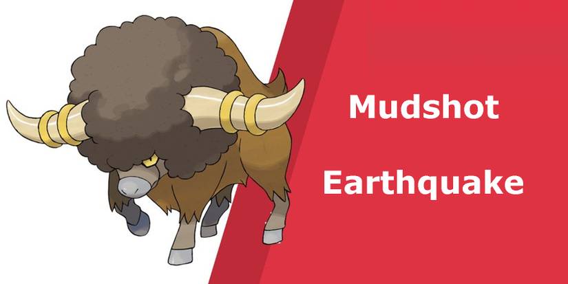 Offensive Moves - Mudshot and Earthquake
