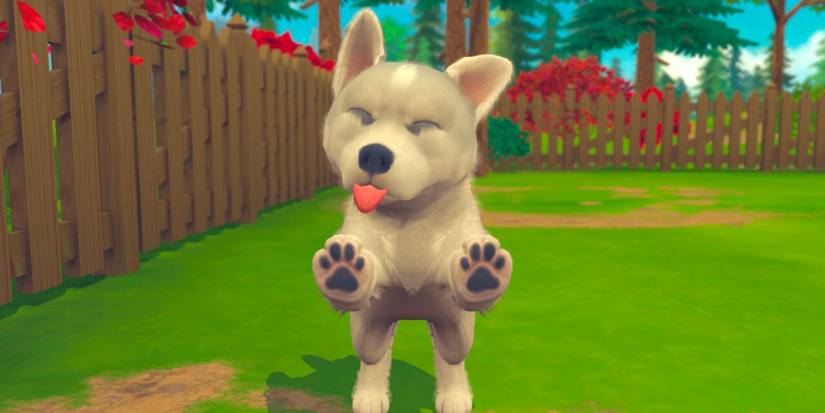 Puppy licking screen in Nintendogs And Cats