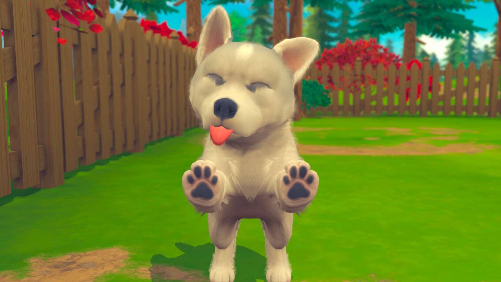 Puppy licking screen in Nintendogs And Cats