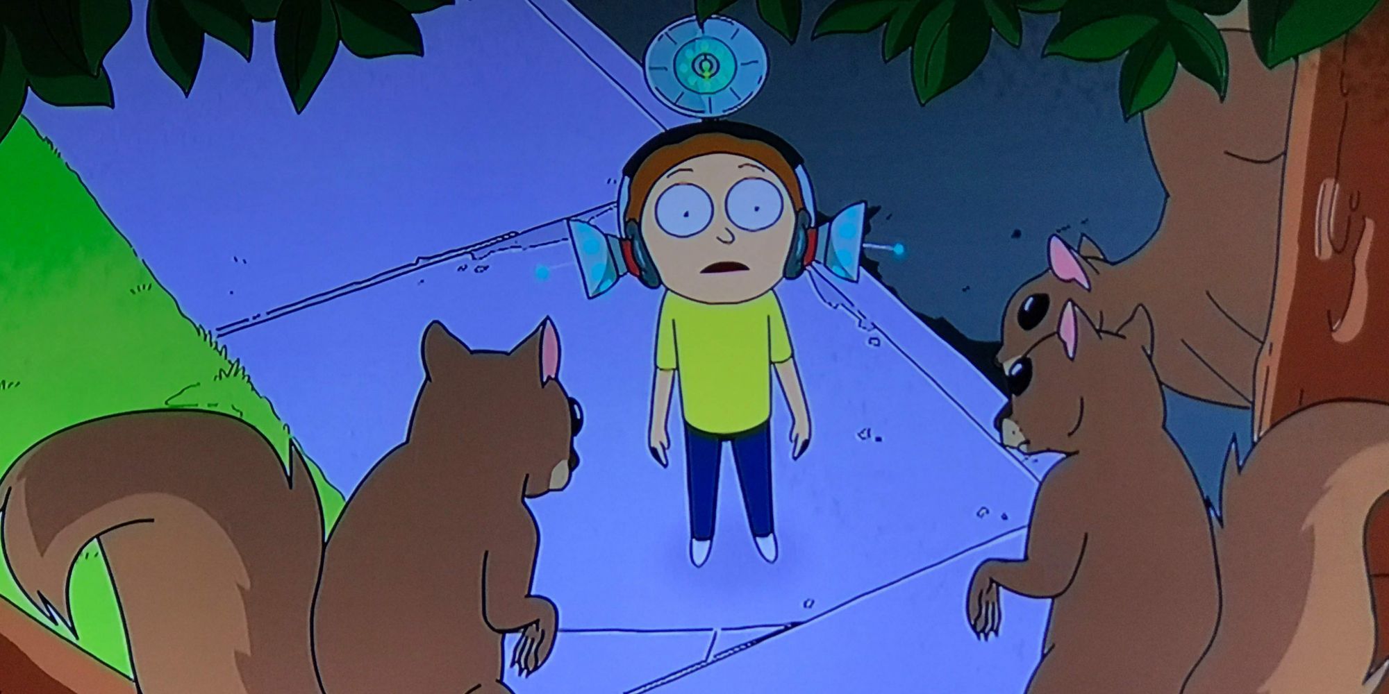 Three squirrels peer at Morty from a tree in Rick and Morty