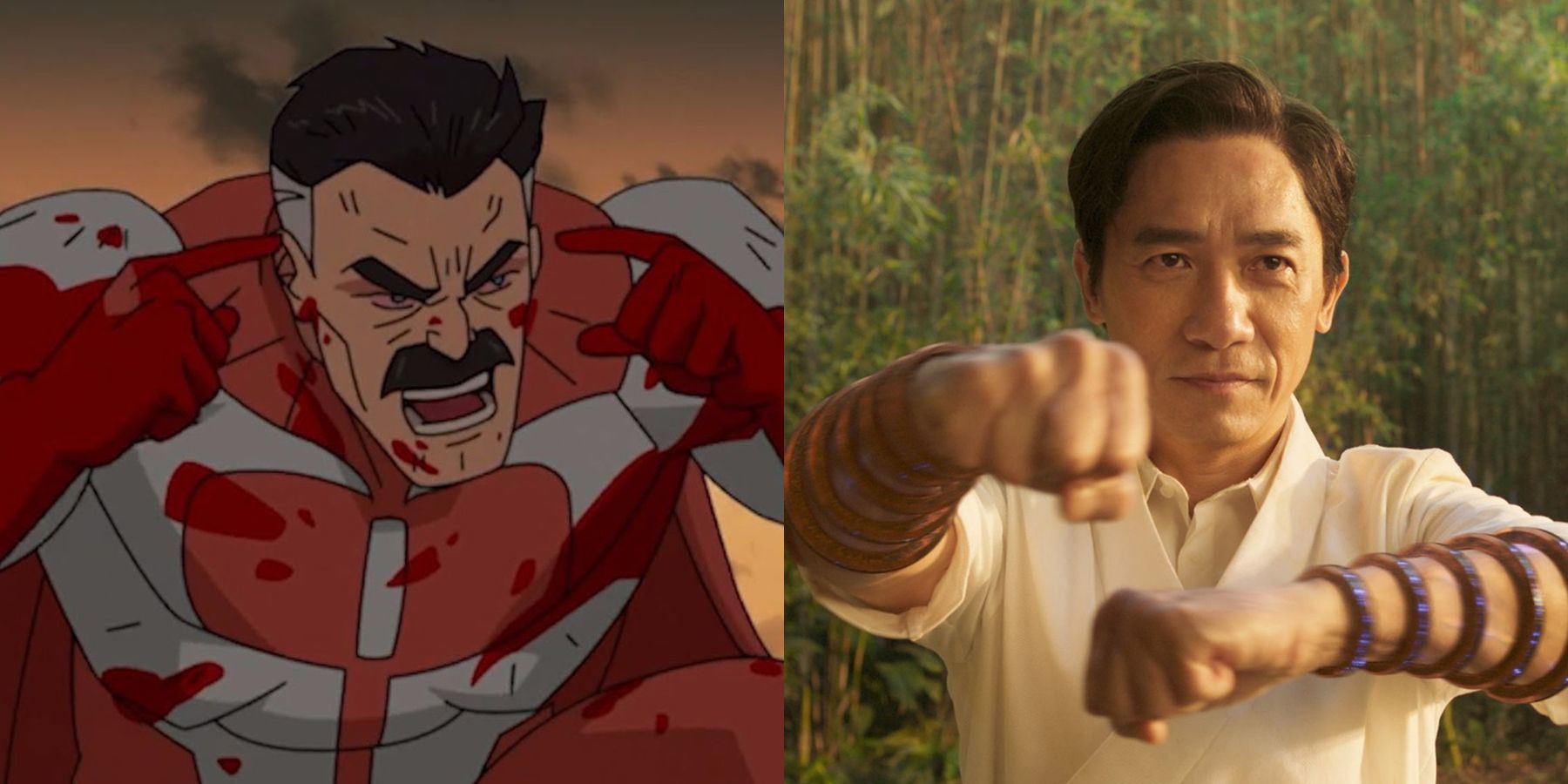 Shang-Chi and the Legend of the Ten Rings Invincible Meme