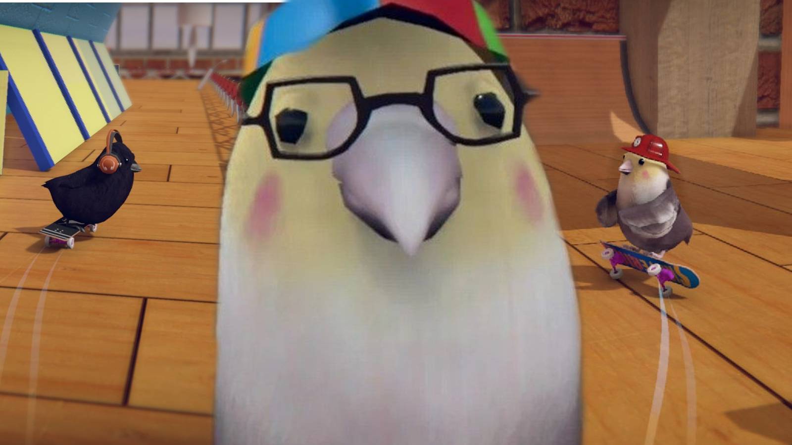 SkateBIRD Beginner Tips 