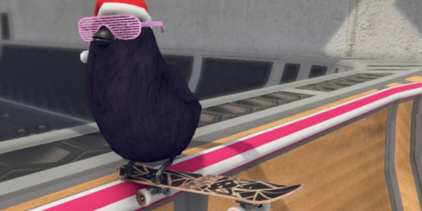 SkateBIRD Beginner Tips Lip Tricks