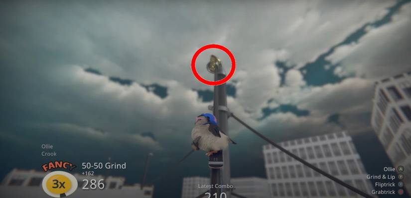 SkateBIRD Scared of Heights Clothing 2