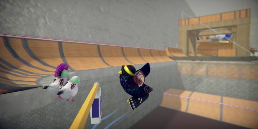 SkateBird Landing Wheels Down Fancy Tricks