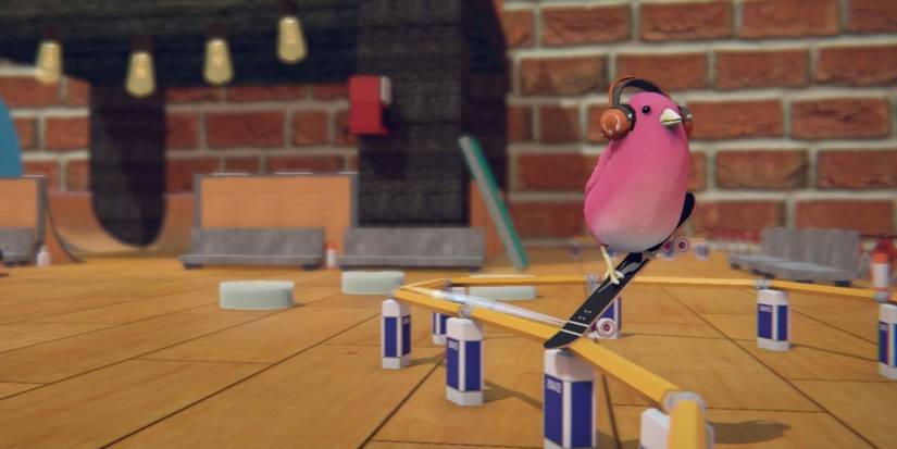 Skatebird Beginner Tips Grind