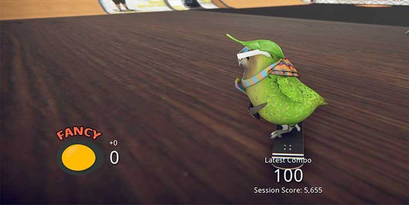 Skatebird Fancy Meter Beginner Tips