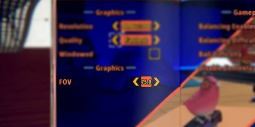 Skatebird Options Beginner Tips Field of View FOV