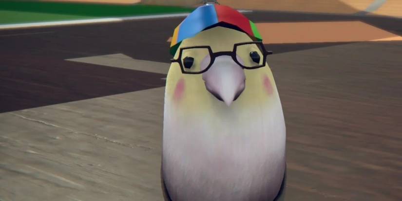 Skatebird Screm Combo Builder 