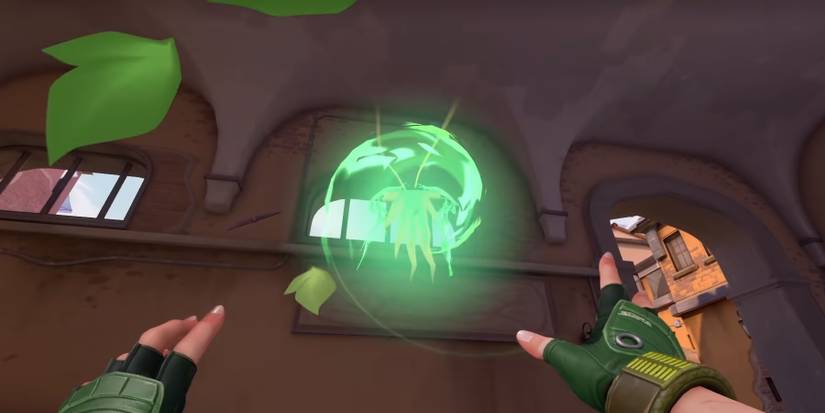 Skye using the Guiding Light through a window