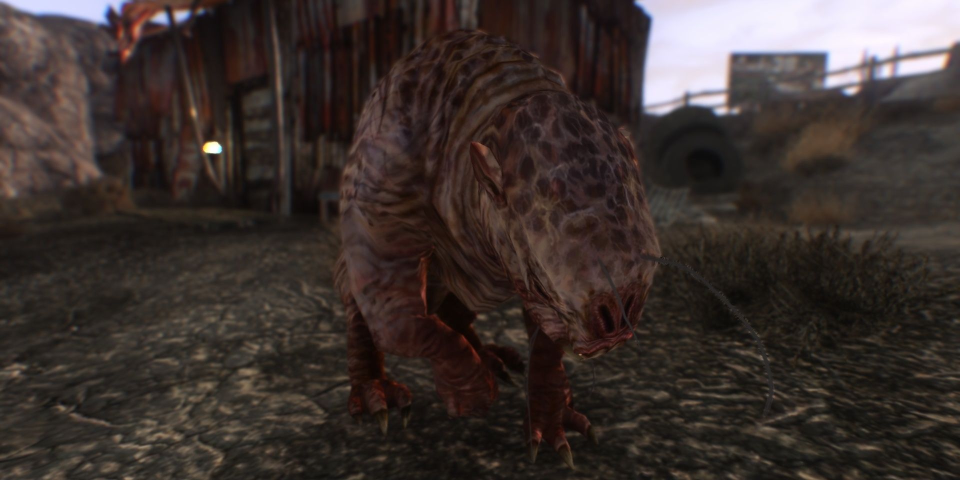 Snuffles The Mole Rat From Fallout New Vegas