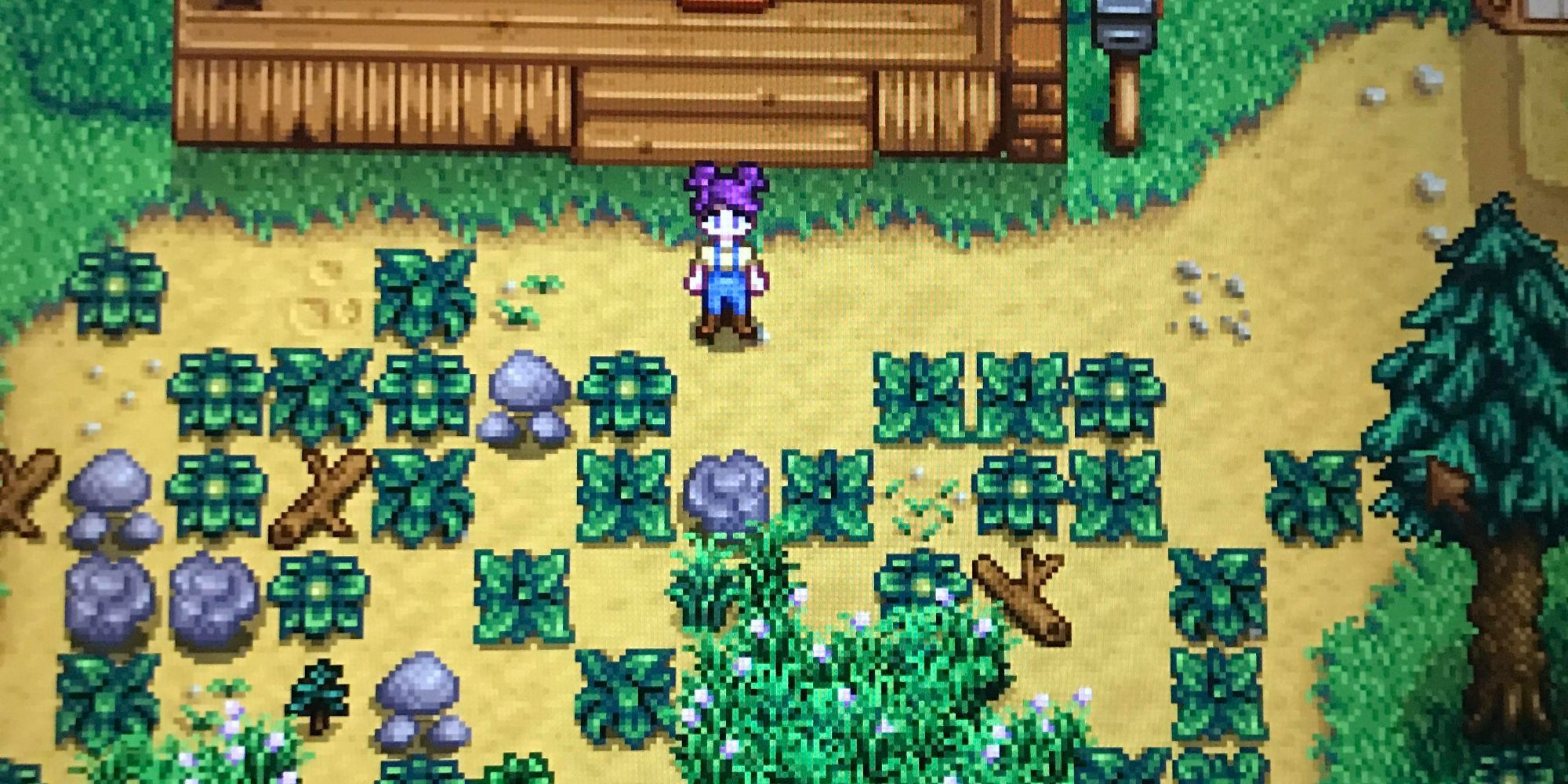 A farmer in a field filled with rocks, logs, and weeds in Stardew Valley