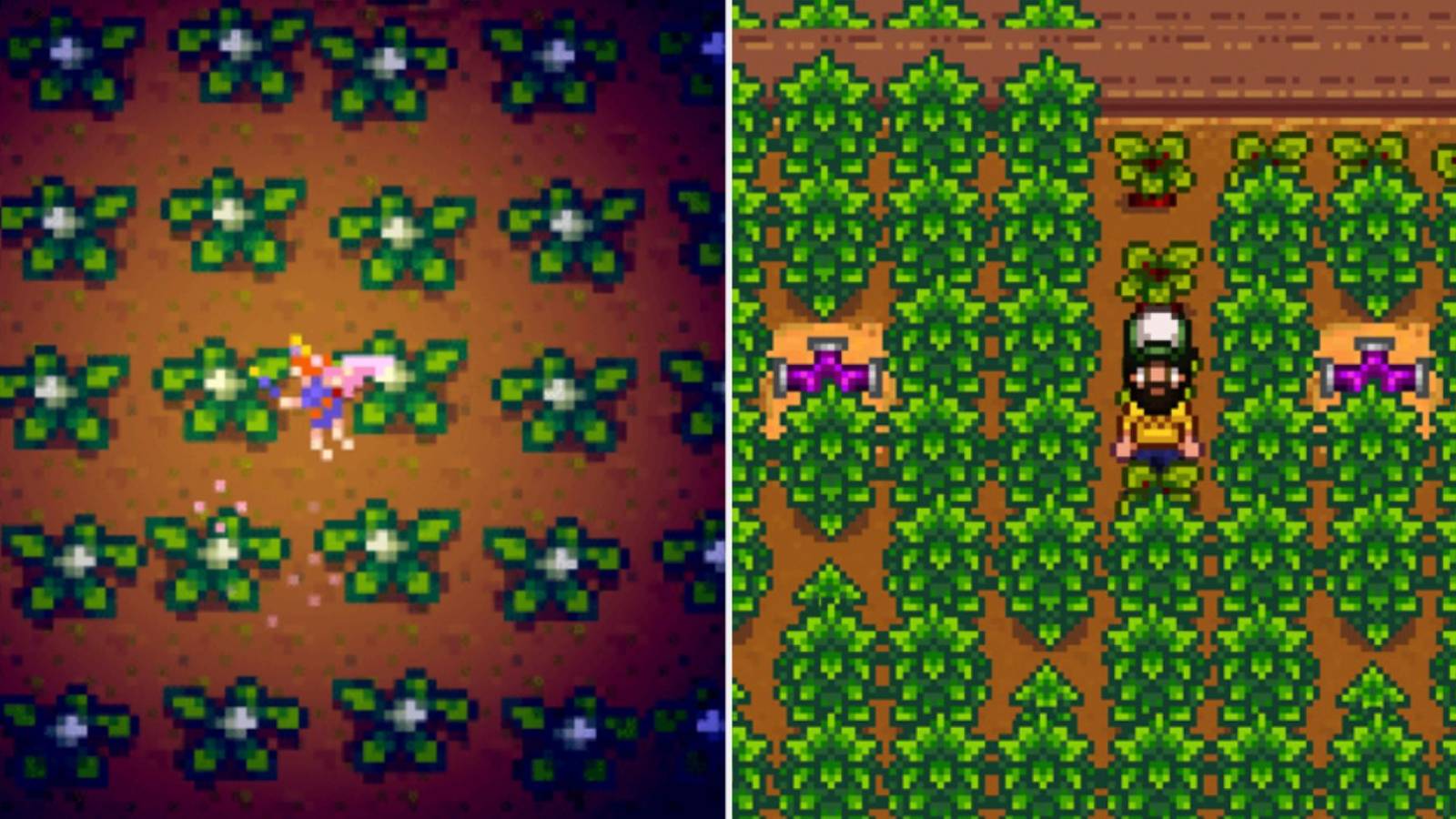 Stardew Valley Crop Fairy Feature Image