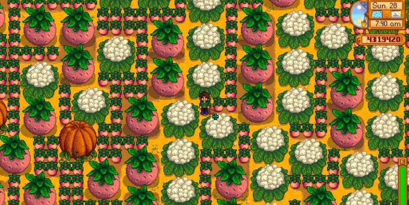 Stardew Valley Huge Crops