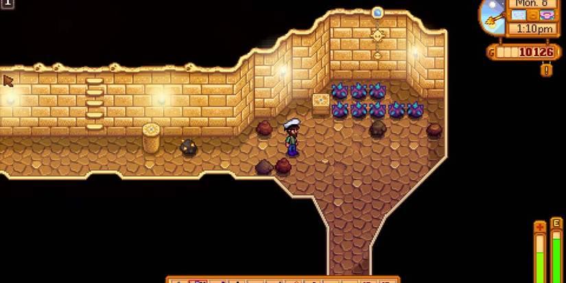 Stardew Valley Skull Cavern
