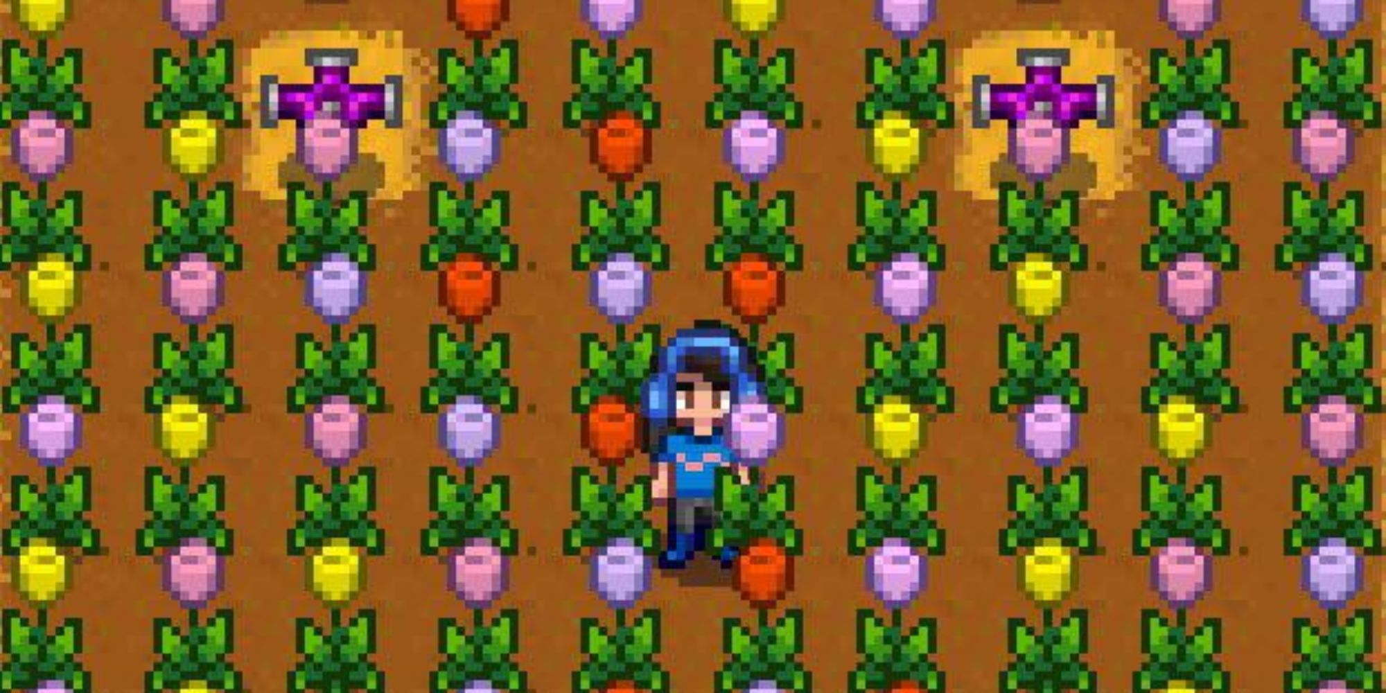 Stardew Valley Tulips