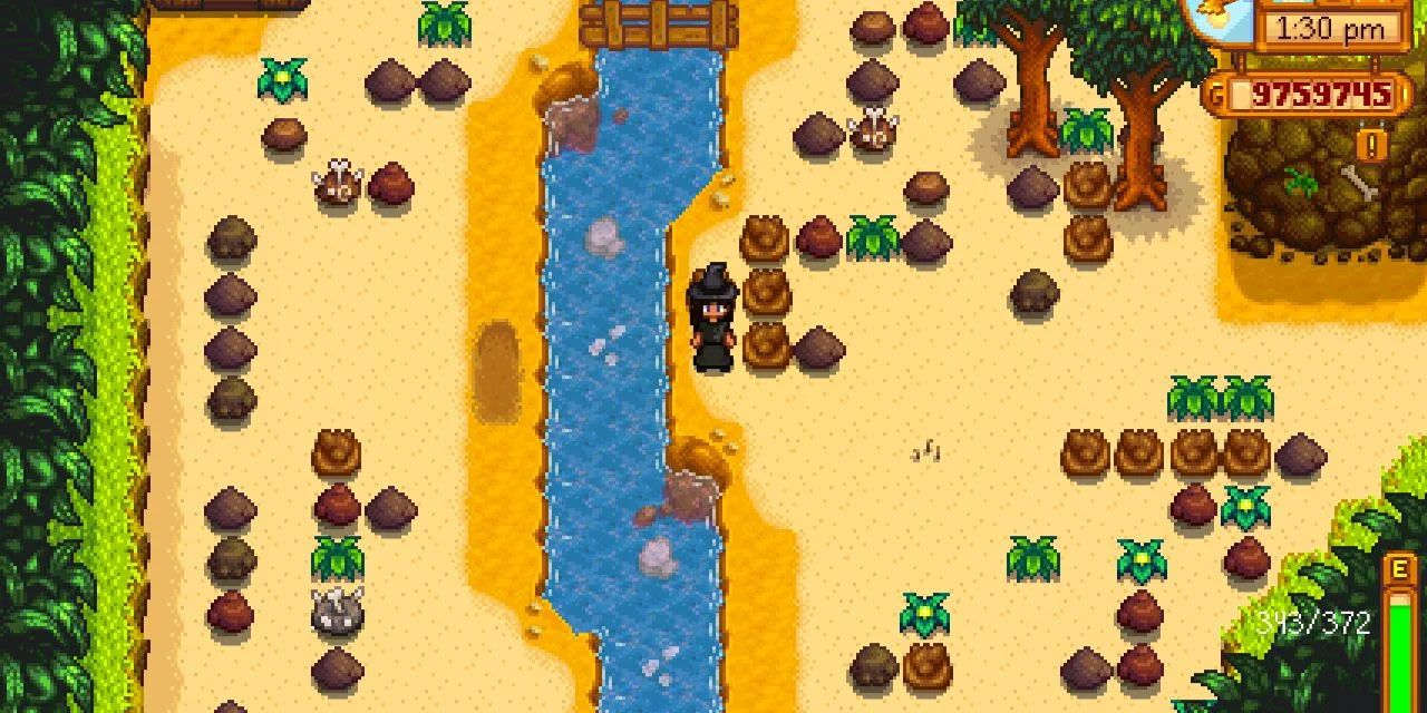 Stardew-valley-Ginger-Island-Dig-Site-Area