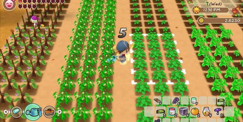 Farmer in Story of Seasons: Friends of Mineral Town in the fields with a watering can