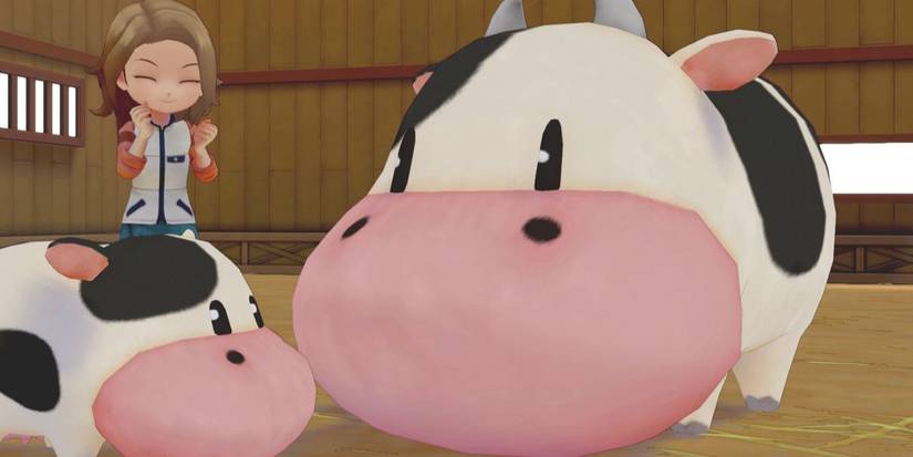 Story of Seasons Pioneers of Olive Town Beginner Mistakes Farm Animals Whistle