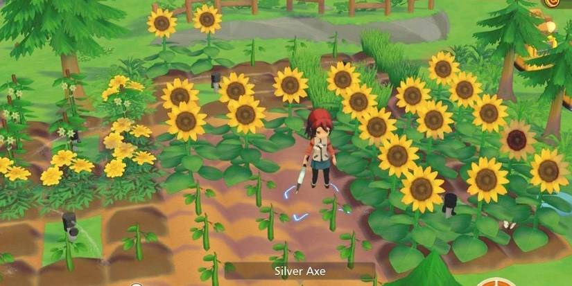 Story of Seasons Pioneers of Olive Town Beginner Mistakes Wildflowers