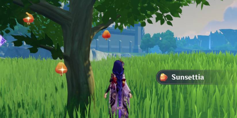 Raiden Shogun next to a Sunsettia tree