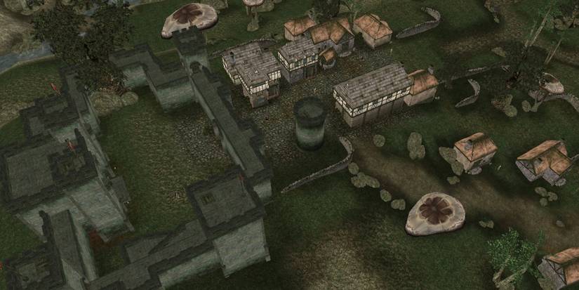 The settlement town of Pelagiad