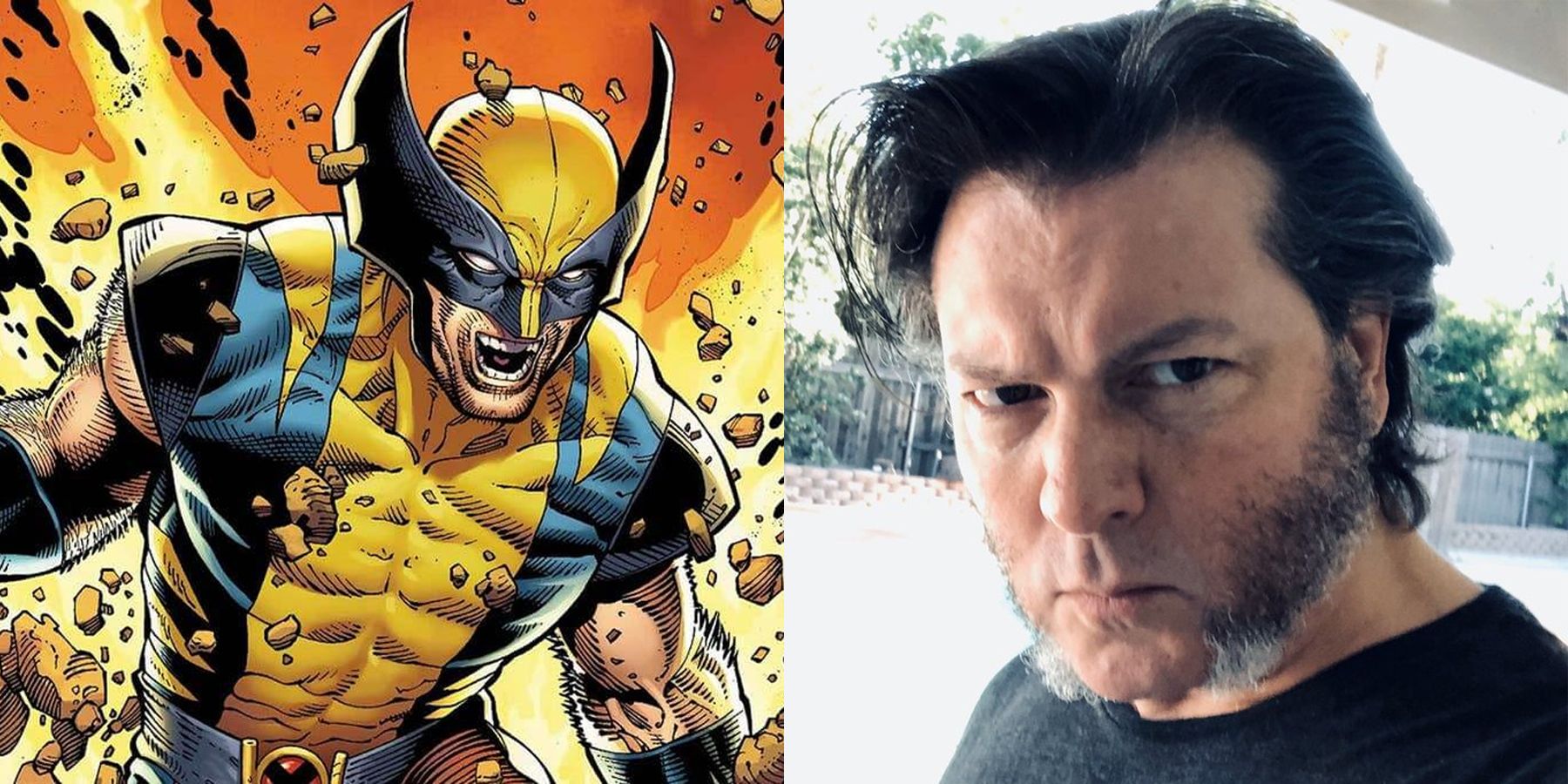 Wolverine David Hayter