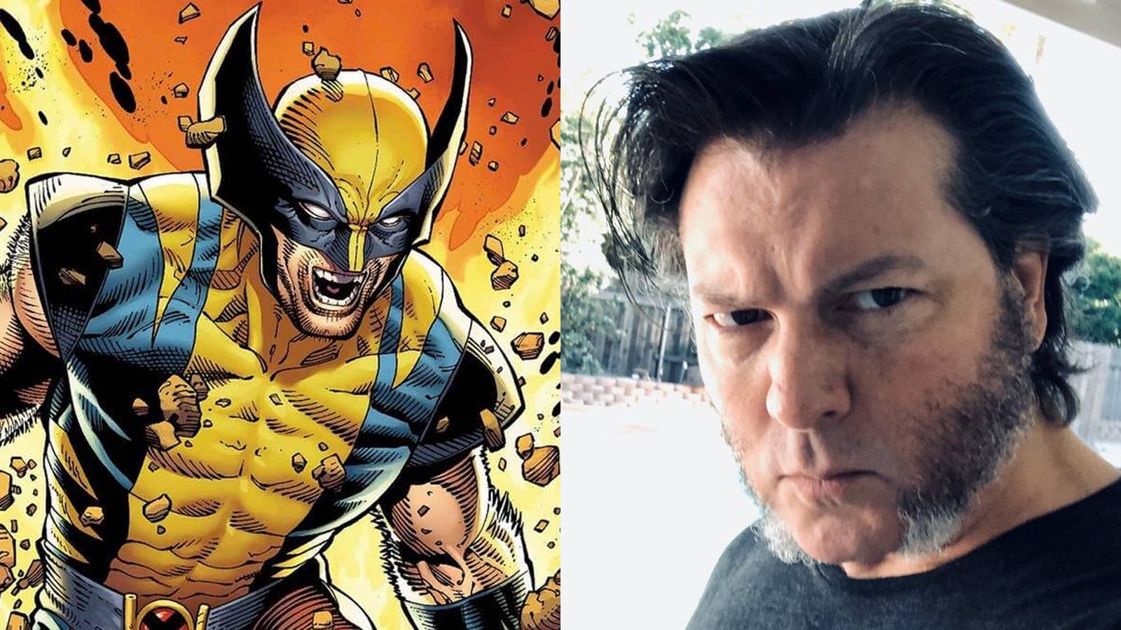 Wolverine David Hayter
